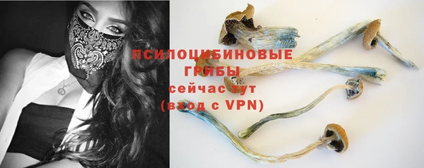 ПСИЛОЦИБИНОВЫЕ ГРИБЫ Кодинск