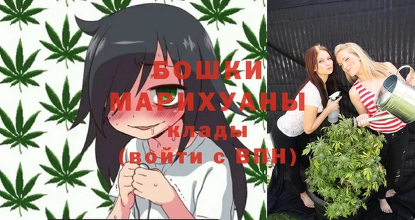 ПСИЛОЦИБИНОВЫЕ ГРИБЫ Кодинск